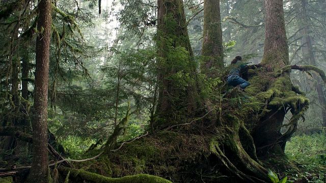 bild aus der news Nur ein Seil schützt in diesem Horrorfilm vor dem sicheren Tod! Neuer Trailer zu "Never Let Go" mit "The Union"-Star Halle Berry