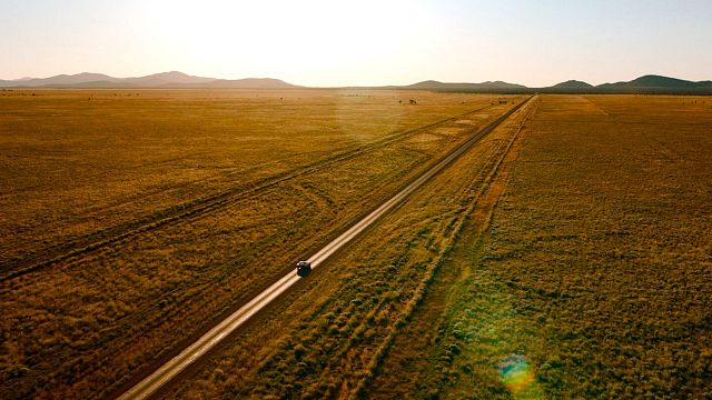 bild aus der news Endlich mal wieder ein klassisch schöner Familienfilm – pünktlich zu Weihnachten neu im Heimkino