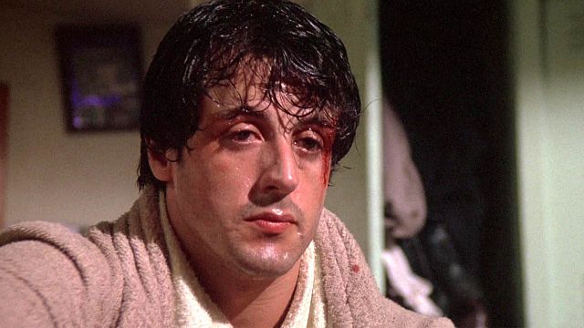 bild aus der news "Er wollte mit mir kämpfen": Sylvester Stallone war so verzweifelt, dass er seinen Hund verkaufte – und handelte sich damit mächtig Ärger ein