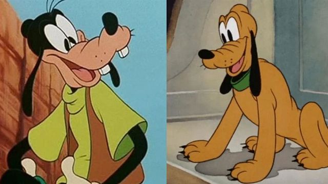 bild aus der news Warum kann Goofy eigentlich sprechen und Pluto nicht? Synchronsprecher löst eines der größten Disney-Mysterien