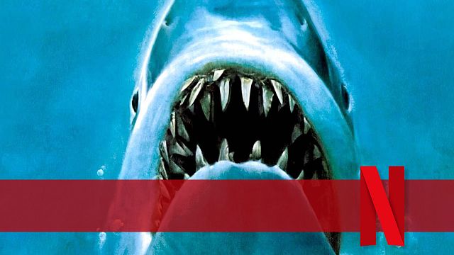 bild aus der news Neu auf Netflix: "Der weiße Hai" von Steven Spielberg