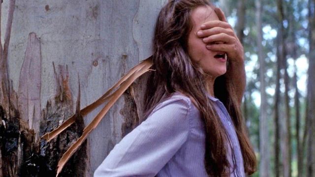 bild aus der news "Ein Horrorfilm wie kein anderer": Quentin Tarantino schwärmt von diesem 80er-Jahre-Geheimtipp für "Shining"-Fans