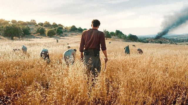 bild aus der news Brisant, hochaktuell & exklusiv bei uns: Deutscher Trailer zu "Palästina 36" – mit Oscar-Preisträger Jeremy Irons