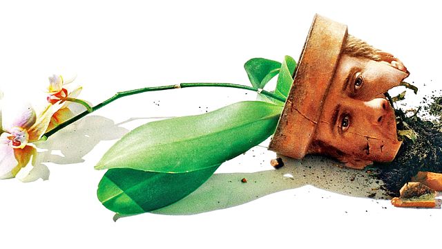 bild aus der news Heimkino-Tipp: Der wohl beste Film von Nicolas Cage erscheint zum ersten Mal überhaupt auf Blu-ray