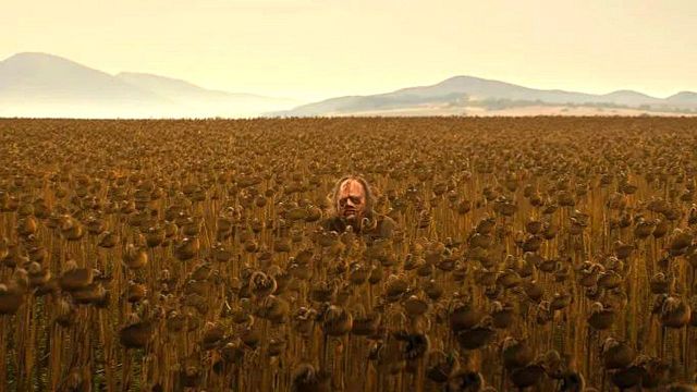 bild aus der news "Yellowstone"-Macher und Kult-Regisseure liefern sich Bieterschlacht um eine der krassesten Horror-Reihen aller Zeiten