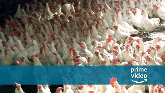 bild aus der news Völlig kostenlos bei Amazon Prime Video streamen: Dieser Kultfilm geht heftig an die Nieren – und ihr solltet ihn trotzdem schauen