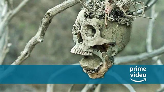 bild aus der news Brutal, verstörend & richtig fies: FSK-18-Highlight neu auf Amazon Prime Video – ungekürzt!