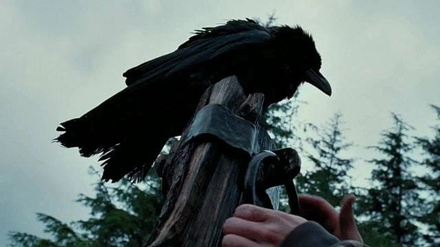 bild aus der news Streaming-Tipp: Eines der größten Fantasy-Meisterwerke – wunderschön von einem vierfachen (!) Oscar-Gewinner inszeniert