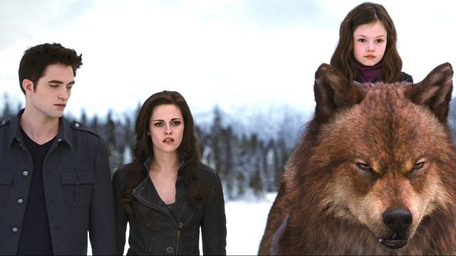 "Twilight" aber ohne Vampire? Der Cast dieser Fantasy-Bestseller-Verfilmung wächst weiter