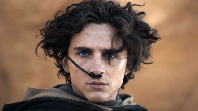 bild aus der news 25 Millionen Dollar für neuen Action-Thriller: Timothée Chalamet stellt Gehalts-Rekord auf