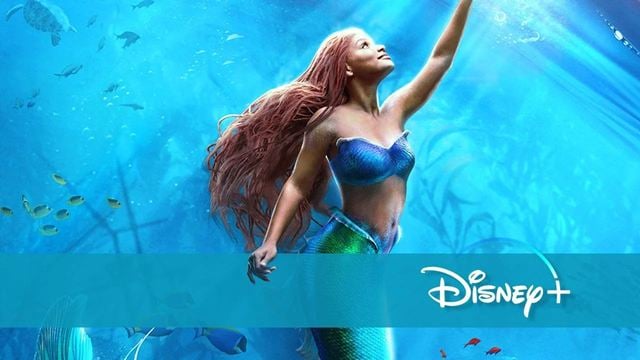 Heute startet die Prequel-Serie zu "Arielle, die Meerjungfrau" bei Disney+ – und es gibt ein Wiedersehen mit alten Bekannten