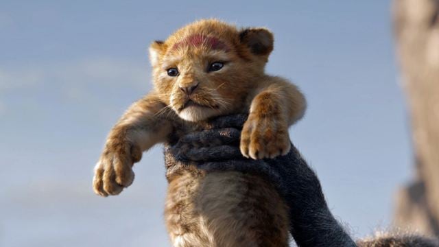 Disneys "König der Löwen": Erstes Bild zum Realfilm-Prequel zeigt wichtigste Figur