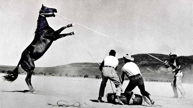 bild aus der news Mit diesem Western-Meisterwerk verabschiedeten sich gleich zwei (!) Hollywood-Ikonen von der Leinwand