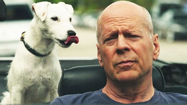 bild aus der news Heute im TV: In diesem launigen Action-Spaß entführt ausgerechnet Jason Momoa den Hund von Bruce Willis!