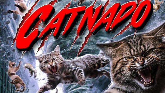 "Catnado" statt "Sharknado": Neuer Trailer verspricht das ultimative Katzenvideo – als Horror-Film!