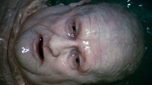 bild aus der news Quentin Tarantino feiert "Next Of Kin"