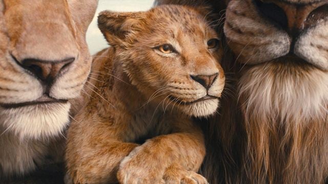 Neuer Trailer zu "Mufasa: Der König der Löwen" – nur noch 5 Wochen bis zum Kinostart des heiß erwarteten Disney-Abenteuers