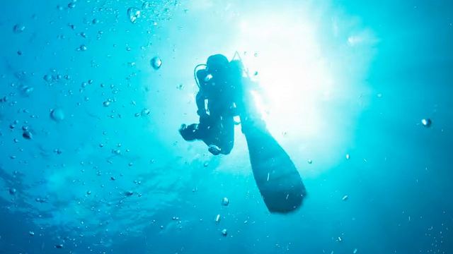 Ihr werdet nie wieder tauchen wollen! Nervenzerfetzender Unterwasser-Trailer zum Survival-Thriller "The Dive"