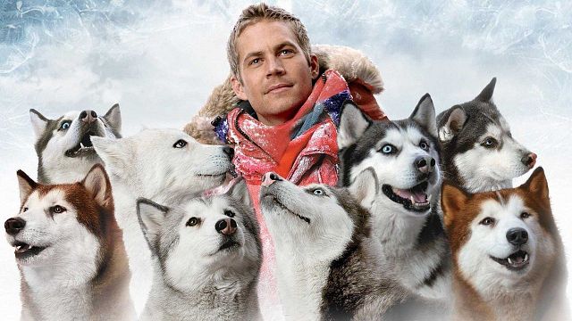 bild aus der news Streaming-Tipp: Ein "Fast & Furious"-Star friert im ewigen Eis – und echt süße Hunde haben das Abenteuer ihres Lebens
