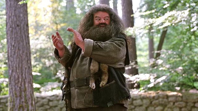 bild aus der news Neuer Hagrid für die "Harry Potter"-Serie gefunden: Dieser Kult-Komiker soll den Fanliebling spielen