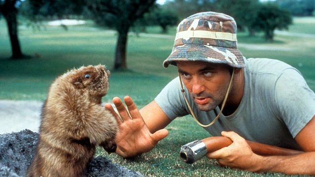 bild aus der news Nach "Barbie" und "The LEGO Movie" kommt jetzt die nächste Spielzeug-Verfilmung – hier werden unschuldige Tiere verkloppt