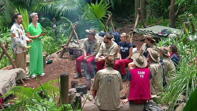 bild aus der news Dschungelcamp an Tag 11: Warum heute niemand das Camp verlassen muss