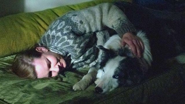 Oscars 2024: Das steckt hinter dem Überraschungs-Auftritt von Hund Messi aus "Anatomie eines Falls"