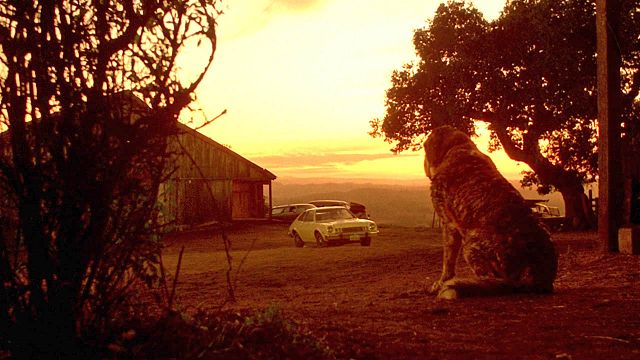 bild aus der news Vor 42 Jahren bedankte sich Stephen King dafür, dass das Ende eines seiner Werke geändert wurde: "Ich habe noch nie so viele Hassbriefe enthalten"