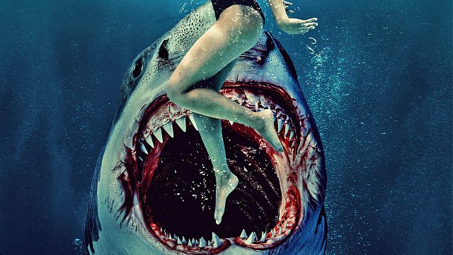 bild aus der news Heute Abend ohne Werbung im TV: Dieser blutige Hai-Horror lief 2024 im Kino – jetzt feiert er Free-TV-Premiere!