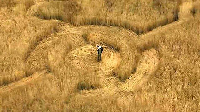 bild aus der news Nicht nur Steven Spielbergs heiß erwarteter Sci-Fi-Blockbuster: Weiterer UFO-Film in Arbeit – vom "For All Mankind"-Regisseur