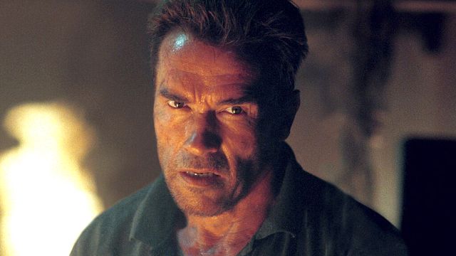 bild aus der news Heute im TV: Arnold Schwarzenegger jagt Terroristen im Dschungel – vom Macher eines der besten Thriller der 90er-Jahre