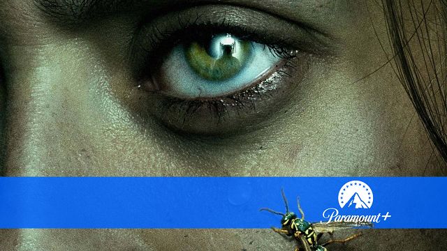 bild aus der news Eine der spannendsten Serien der letzten Jahre geht noch weiter: Mystery-Hit bekommt 4. Staffel spendiert