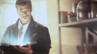 bild aus der news Brad Pitt und Shia LaBeouf bekommen Angebot für "Riptide"