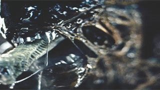bild aus der news "Alien"-Prequel: Der Kreaturendesigner des Originals wieder dabei