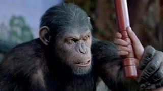 "Planet der Affen": Primaten herrschen weiterhin über die US-Charts