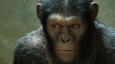 bild aus der news "Planet der Affen: Prevolution"-Sequel wird erneut ohne eine Zeitreise auskommen
