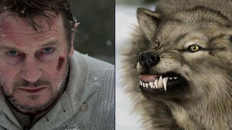 bild aus der news "The Grey": Exklusives Video zum DVD- und Blu-Ray-Start des Survival-Thrillers mit Liam Neeson
