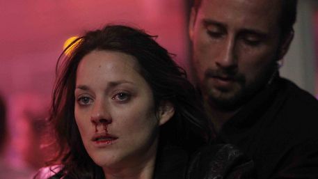 bild aus der news "Der Geschmack von Rost und Knochen": Erster Deutscher Trailer zu Jacques Audiards intensiven Drama