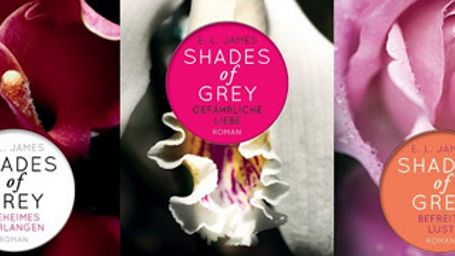 bild aus der news Universal hat es nicht eilig mit "Shades of Grey": Kinostart der Erotik-Verfilmung wohl im Sommer 2014