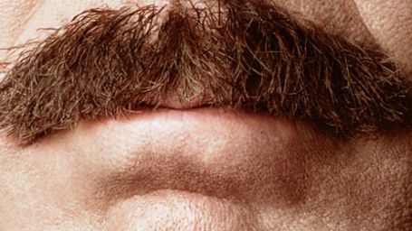 bild aus der news Die Nachrichtensprecher sind zurück: Erster Trailer und neues Poster zu "Anchorman 2" mit Will Ferrell und Steve Carell