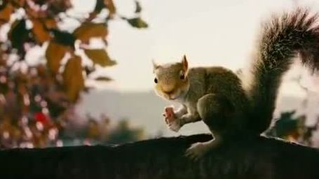 Angriff der Killer-Eichhörnchen: Erster Sales-Trailer zu Timur Bekmambetovs Horror-Film "Squirrels"