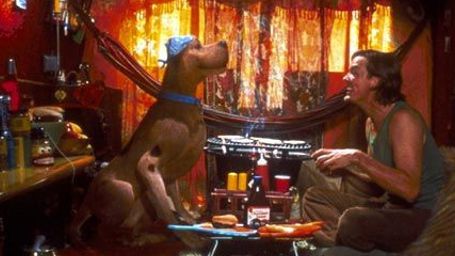 bild aus der news Es wird wieder geschnüffelt und ermittelt: "Scooby Doo" bekommt animiertes Reboot