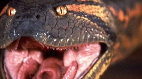 Krokodil vs. Schlange: Der Kampf der Giganten im Crossover-Film "Lake Placid Vs. Anaconda"