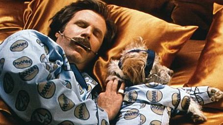 bild aus der news Regisseur Adam McKay plant familienfreundliches "Anchorman" Spin-off mit dem Hund des Nachrichtensprechers