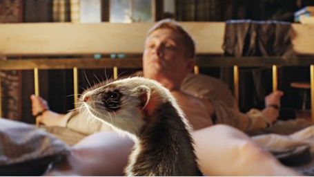 bild aus der news Drehtagebuch zu Matthias Schweighöfers "Vaterfreuden": Frettchen-Alarm am Set!