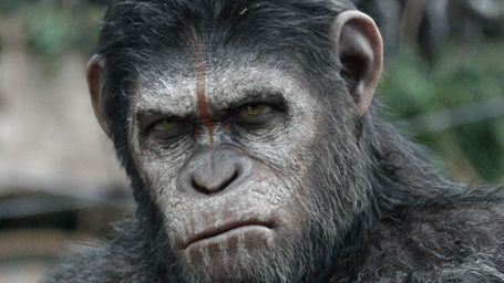 bild aus der news Wütende Schimpansen auf Pferden und mit Shotguns auf neuen Bildern zu "Planet der Affen: Revolution"