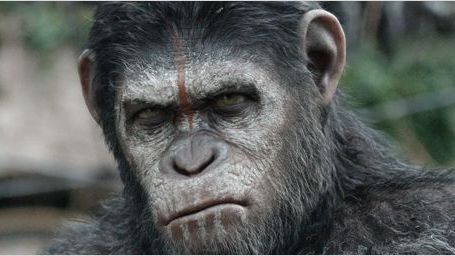 bild aus der news Trailer zum neuen Trailer zu "Planet der Affen: Revolution"