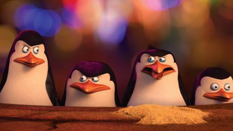 bild aus der news "Die Pinguine aus Madagascar": Erster deutscher Trailer mit den animierten Spaßvögeln
