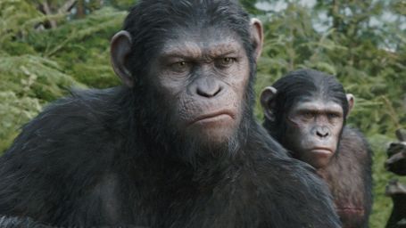 bild aus der news "Planet der Affen: Revolution": Erste Stimmen zum Sequel von Matt Reeves sind sehr positiv