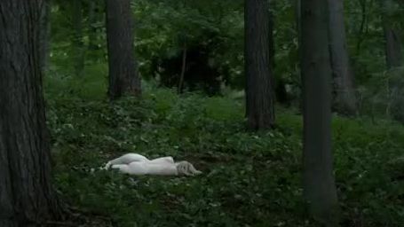 bild aus der news "Schändung": Erster Trailer zum Sequel zur dänischen Krimi-Bestseller-Adaption "Erbarmen"